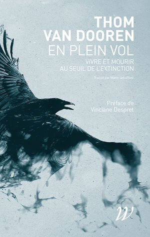 En plein vol