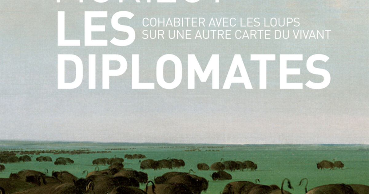 Les Diplomates, Baptiste Morizot – Cohabiter Avec Les Loups Sur Une ...