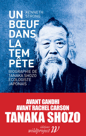 Un bœuf dans la tempête